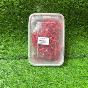 Dry Flower Box- Baby Breath Red