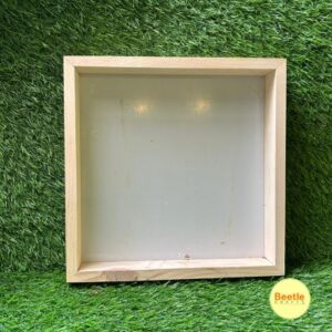 Pinewood Acrylic Frame : 2 Inch Depth