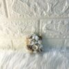 Natural Sea Shells Mix Pack (40gm) | Assorted Ocean Shells for Crafts, Home Decor, Aquariums & DIY Projects