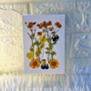 Pressed Flower Pack - Sunny Yellow Mix (12 Pieces)