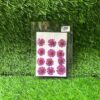 Pressed Flower Pack - Violet Daisy (12 Pcs) | Natural Dried Flowers for Resin Art, Crafts & Scrapbooking