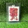Pressed Flower Pack - Radiant Red Assortment (12 Pieces)