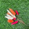 Bunny Tails (Dried Lagurus) – Pack of 12 | Orange, Hot Pink, White