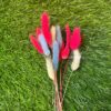 Bunny Tails (Dried Lagurus) – Pack of 12 | Hot Pink, Chiffon Yellow, Azure Blue