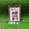 Pressed Flower Pack - Red Mix (12 Pieces)