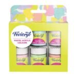 Fevicryl Multi Surface Pastel Acrylic Colours Kit 6 4