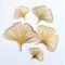 GINGKO LEAVES ACRYLIC CUTOUT 2PCS 3 INCH