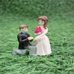 Proposal Couple Dolls 1