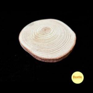 Natural Wooden Bark Slices – Premium Rustic Craft Bases (Available in 2cm to 15cm)