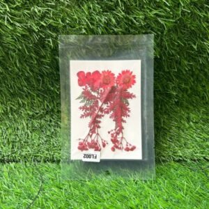 Pressed Red Flower Mix Pack – FL002 | Natural Dried Flowers for Resin, Crafts & DIY Décor