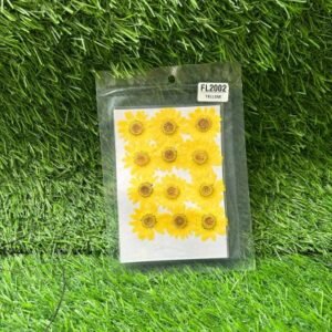 Pressed Yellow Daisy Flowers - Pack of 12 | Natural Dried Daisies for Resin Art, Jewellery & Cheerful Crafts
