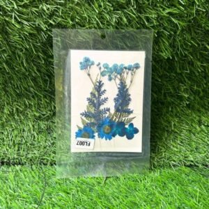 Pressed Blue Flowers Mix Pack – FL007 | Natural Dried Flowers for Resin Art, Crafts & DIY Projects