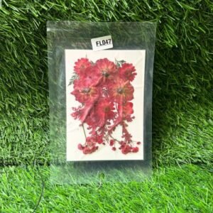 Pressed Flower Pack - Radiant Red Assortment (12 Pieces)