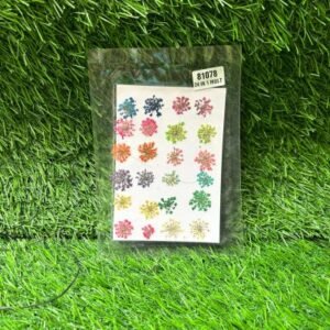Multicolour Annes' Lace – 24 in 1 Pressed Flowers | Natural Dried Florals for Resin, Crafts & DIY Art