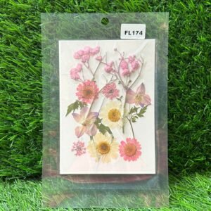 Pressed Flower Pack: White, Pink Flowers & Twigs (FL174)