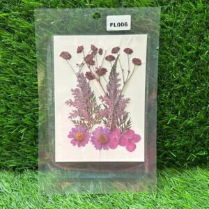 Pressed Flower Pack: Purple Mix Flowers (FL006)