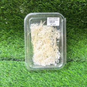 Natural Dried Flower Box - Pure White Baby's Breath (Box of 1)
