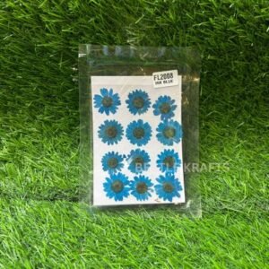 Pressed Flower Pack - Dark Blue Daisy (12 Pieces)