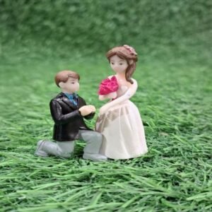 Proposal Couple Dolls Wedding Couple Doll Ornament Figurines