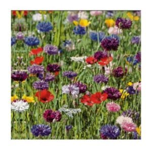 Decoupage Tissue Flower Field (Pack of 2)