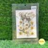 Pressed Flower Pack: White 25-in-1 Mix