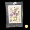 Pressed Flowers Mix (12-in-1) - Purple & White Tones | Natural Dried Flowers for Resin Art, Jewellery & Crafts