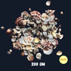 Natural Mixed Sea Shells – 200gm Pack | Multipurpose Craft & Decor Accents